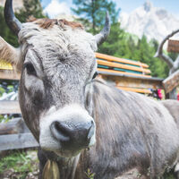 Val Contrin ©Archivio APT Val di Fassa