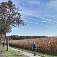 Der Weg führt durch besiedeltes Gebiet