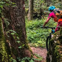 Trailverbindung zu den Gamsöfen