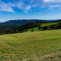 Blick zum Jauerling
