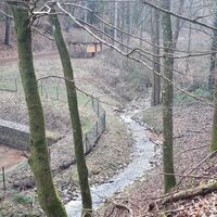 Kehrbach Trassem