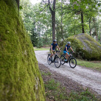 Naturpark Blockheide