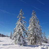 Winterlandschaft