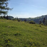 Aufstieg Frankenfelsberg,