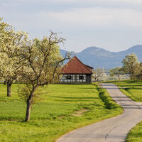 Weg am alten Schafstall