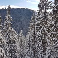 Blick zur Kampalpe