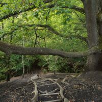 Abstieg Kleiner Fuji