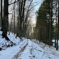 Steinköpfl-Treil - Molln