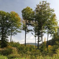 Unterwegs im Waldprechtstal