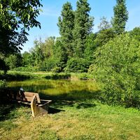 Inheim Fischweiher Bank Picknickplatz