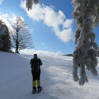 Ebenwald - Reisalpe