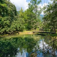 Palù di Livenza