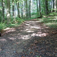 Aufstieg nach Hintersdorf