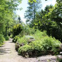 Kräuterreichtum im Alpengarten