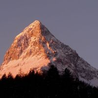 Lugauer