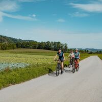 Radtour am Donauradweg Gemüsefeld Pupping Eferding