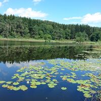 Freitag, 11. August 2017 12:41:44