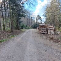 Forststraße nach der Augustinerhütte