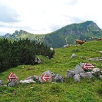 Eisenerzer Reichenstein und Krumpensee ab/bis Hirnalm