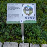 Thementafel vom Moor-Erlebnispfad