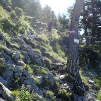 Aufstieg am Naturfreundesteig