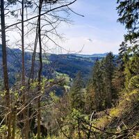 Ausblick vom Gösser in Richtung Arzberg, Naturpark Almenland, Oststeiermark