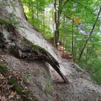 Saalleiten Trail