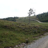 Blick nach rechts