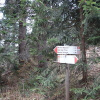 Aufstieg zum Gantkofel/Macaion