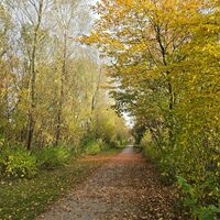 Herbst am Golfplatz