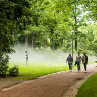 Nebelweg Bad Waldliesborn
