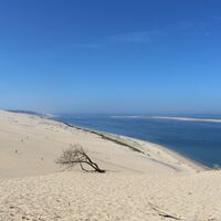 IMG_9810
