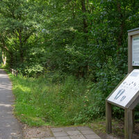Hevehalbinsel Naturpromenade