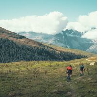 Kurzer Singletrail bei der Alp Nall