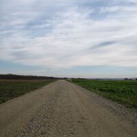 Fels - Absdorf