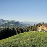 Alpe Schwarzenberger Platte im Lecknertal