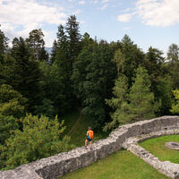 Burgruine in Schellenberg
