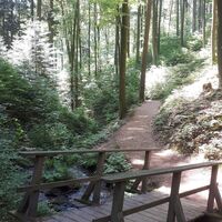 Edenkobener Tal