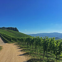 Radweg bei Kapelle St. Wendelin