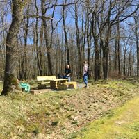 Ruhebank nahe Ziegenkopf bei Welterod