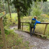 Vogelbeer-Panoramaweg_Naturpark Almenland_Oststeiermark