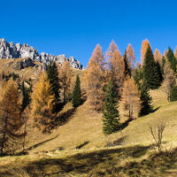 Colori autunnali