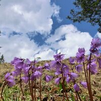 Auf der Hohen Bleick