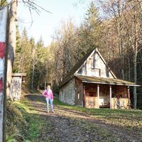Abzweigung vor der Jagdhütte rechts