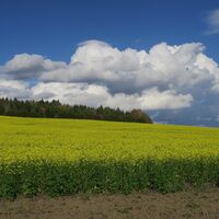 Weilheim 9