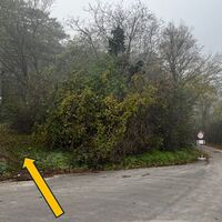 Am Schönberg - Wegeinstieg