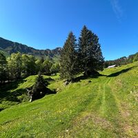 Rundweg Chatzenloch, Aufstieg zum Langzimmer