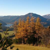 Herbstimpression