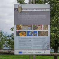 Zwergohreulenwanderweg