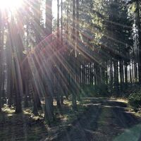 Remptendorf - Ruhteich - Friesauer Hügel